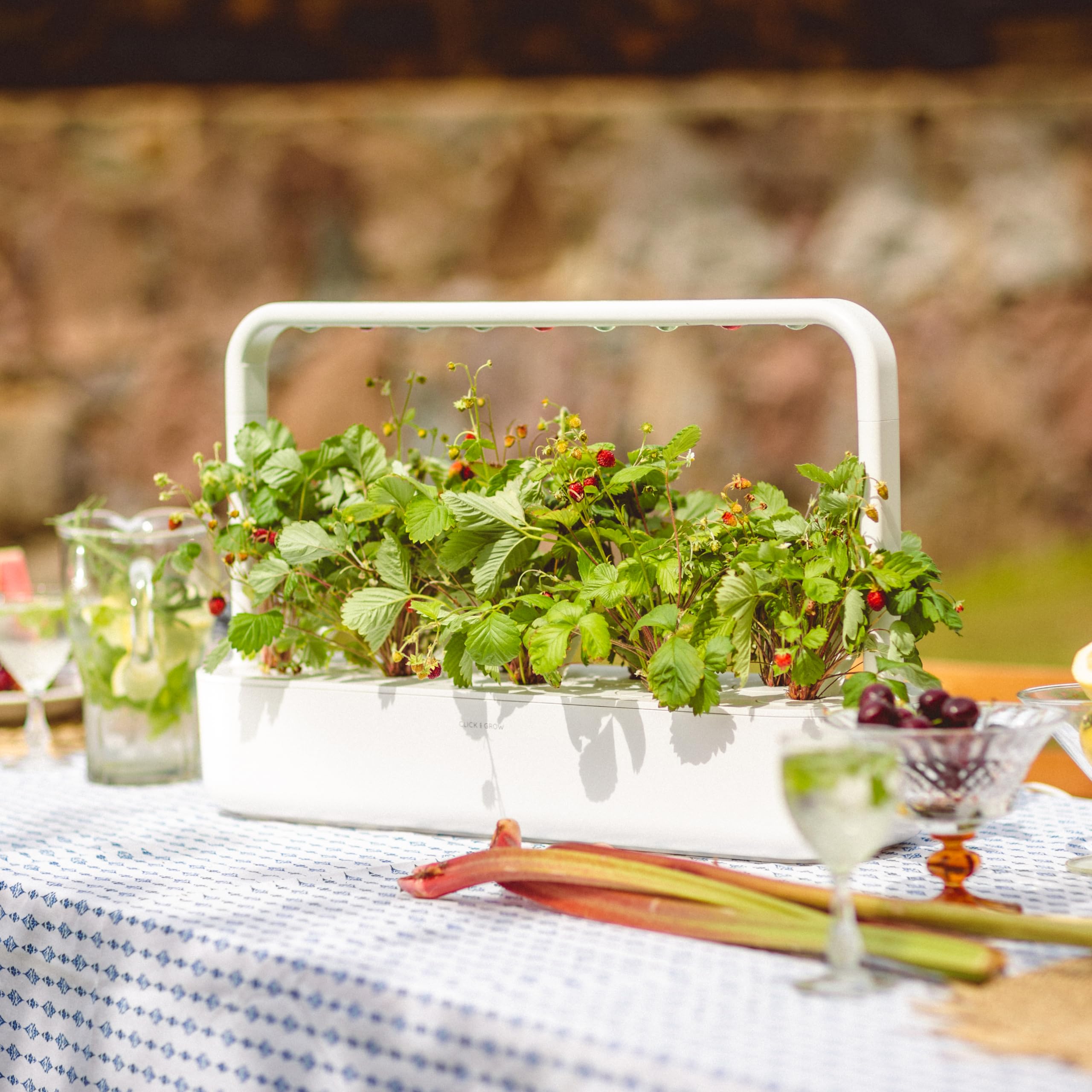 Amazon.com : Click and Grow Smart Garden Wild Strawberry